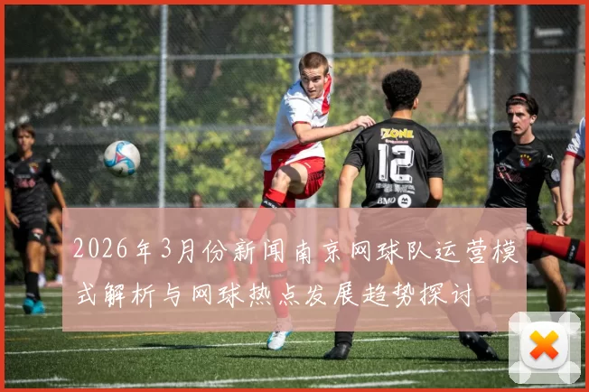 2026年3月份新闻南京网球队运营模式解析与网球热点发展趋势探讨